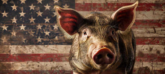Cerdo Duroc: qué es y por qué el 95% del jamón ibérico lo lleva