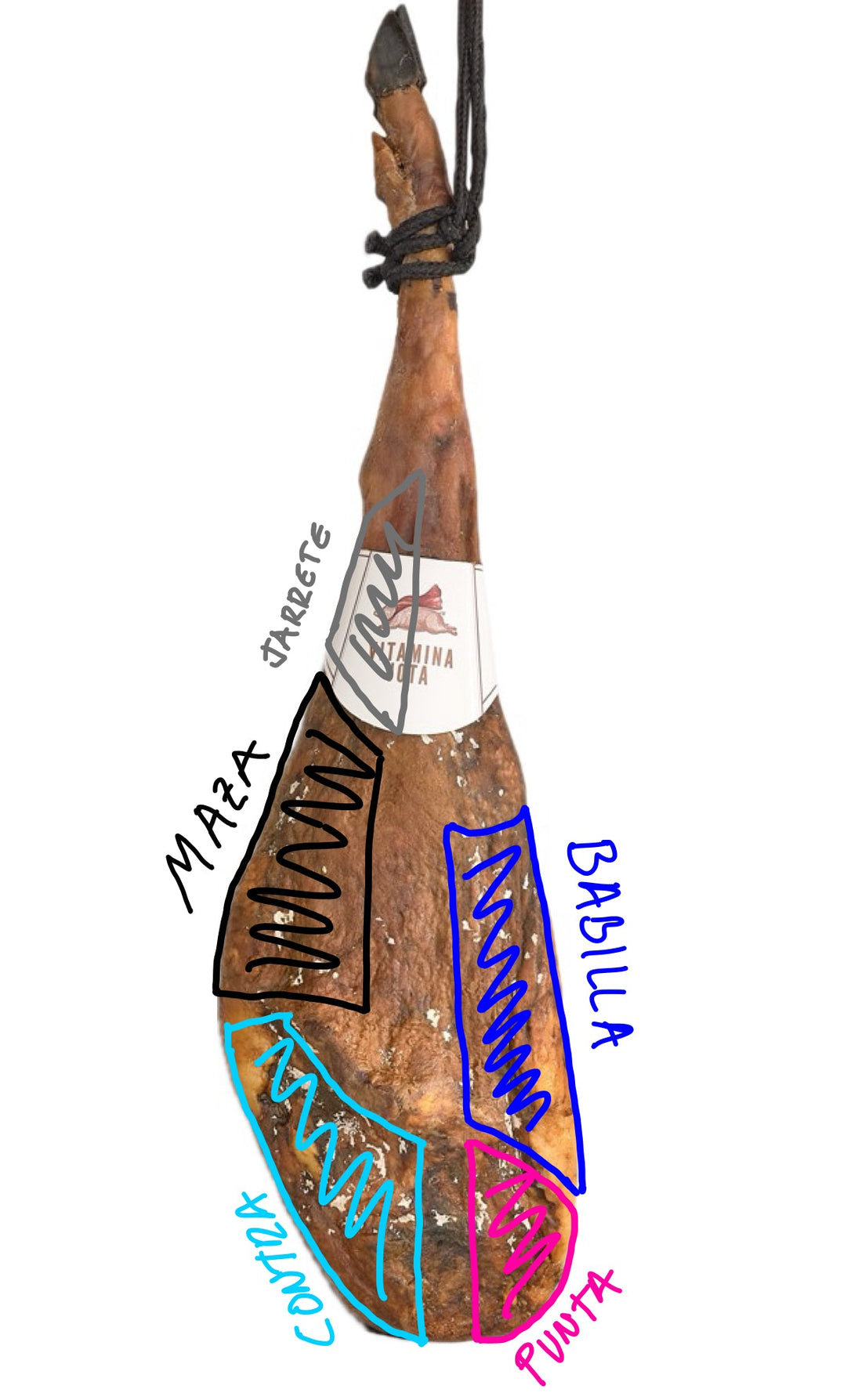 las partes de un jamon