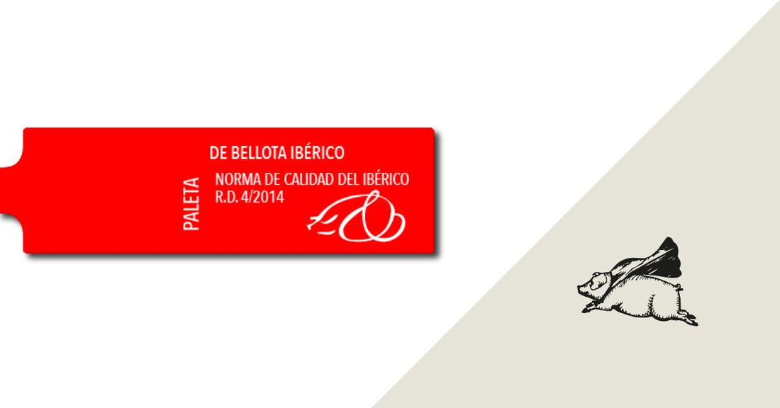 Jamón ibérico de bellota: qué es, diferencias con otros jamones, beneficios y cómo identificarlo