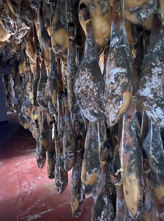 ¿Qué hacer si sale moho en el jamón?
