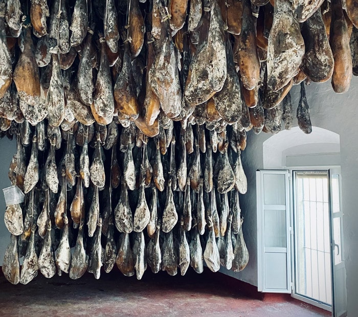 bodega de jamón ibérico Vitamina Jota